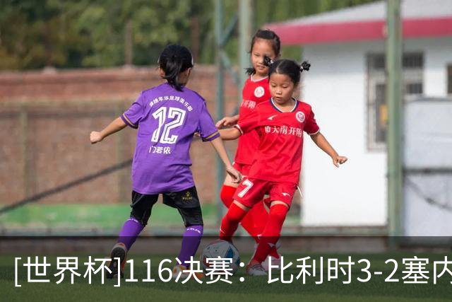 [世界杯]1/16决赛：比利时3-2塞内加尔 集锦